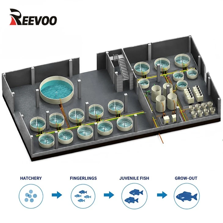 Recirculating Aquaculture System suppliers