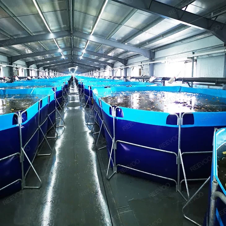 reevoo-frame-fish-tanks reevoo-frame-fish-tanks